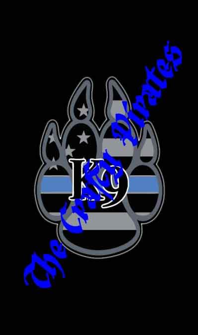 Thin Blue Line Pen Blank (Sierra)